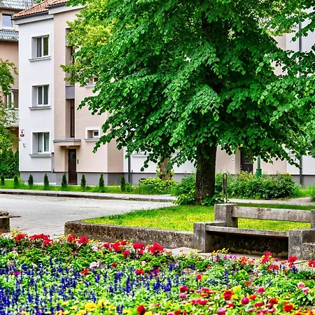Apartment Calm Oasis In Center